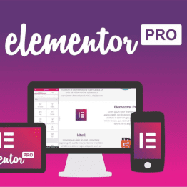 Elementor Pro. Elementor PRO O MELHOR CONSTRUTOR DE PÁGINAS PARA WORDPRESS